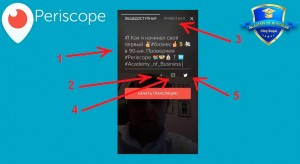 Как работать с приложением periscope
